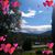 Kathy Benway Harris's profile image