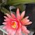 Zeny Franco's profile image