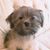Audrey Park's profile image