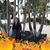 Rubi Weaver's profile image