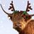 Susan Stephenson-Baker's profile image