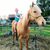Sheryl Hayward Cason's profile image