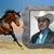 Ignacio Flores's profile image