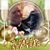 Kathy N Doug's profile image