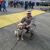 David Harcha Riffo's profile image