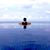 Ken Hirsch's profile image