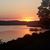 Teri Leonard's profile image