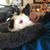 Christine Louise's profile image
