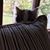 Erin Wetzel's profile image