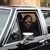 Samuel Buissereth's profile image