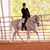 Liane Solomon's profile image