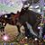 Carol Green's profile image