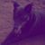 Bradley Bradley's profile image