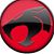 Noe Esparza's profile image