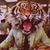 Tiago Silva's profile image
