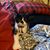 Betty Jean Cassidy's profile image