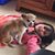 Kim Fifield's profile image