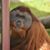 Jim McManus's profile image