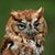 Angela Richter's profile image