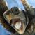 Jane Boyles's profile image