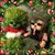 Robin Ireland's profile image