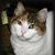 Annette Keefer's profile image