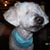 Jennifer Etterlee Dillon's profile image
