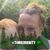 Missie Ellsworth Bowers's profile image