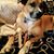 Debbie Clayton LaMay's profile image