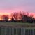 Sandi Franklin Steil's profile image