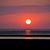 Linda Landow Young's profile image