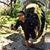 Charlie Nguyen's profile image