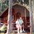 Jean Forbes Carbano's profile image