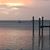 Mary Ann Architetto-Carroll's profile image