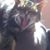 Stee Reser's profile image