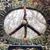 David Ownby's profile image