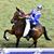 Susan Swope's profile image