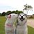 Jennifer Hardwick's profile image