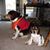 Amy Ray's profile image