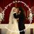 Ellen Wyandt's profile image