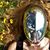Sue Jordan's profile image