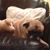 Denise Rhoden's profile image