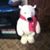 Melinda Blake's profile image