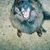 Linda Doherty's profile image