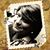 Sheri Brown's profile image