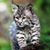 Kari A. Olson's profile image