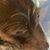 Cindy Marria's profile image