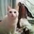 Elizabeth Dennis's profile image
