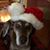 Brian Demers's profile image