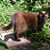 Catherine Allsbury's profile image